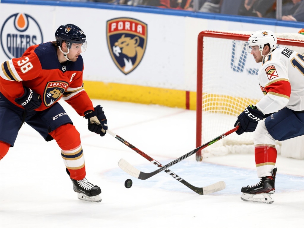 重要节点：佛罗里达美洲豹全力出击
佛罗